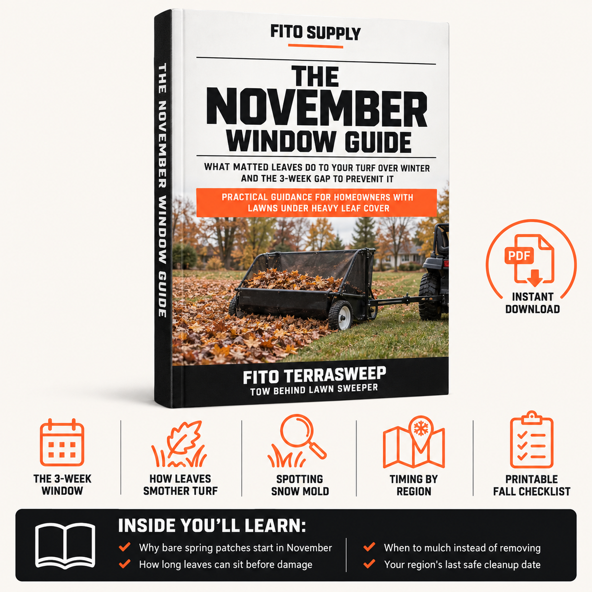 The November Window Guide
